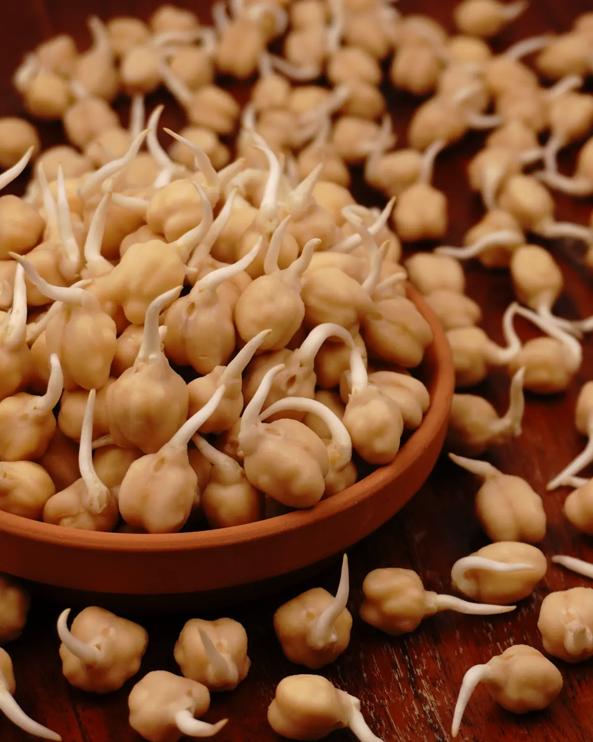 Chickpeas Sprout - Indian recipe showing finished dish ready to serve