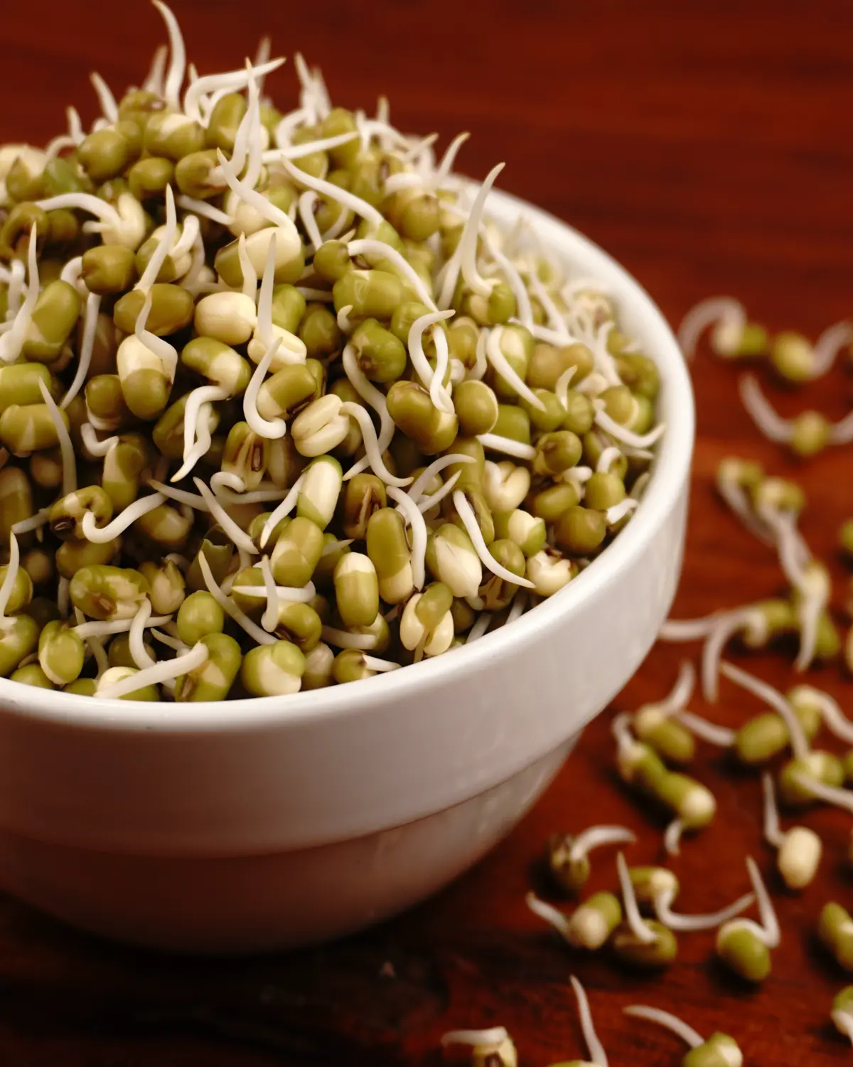 Green gram sprouts - Indian recipe showing finished dish ready to serve