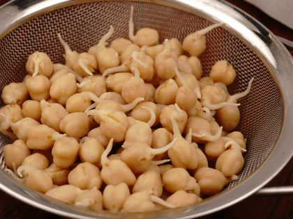 Crunchy Air Fried Sprouted Chickpeas - Strain