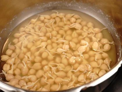 Crunchy Air Fried Sprouted Chickpeas - Strain
