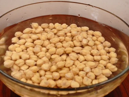 Chickpeas Sprout - The Ongoing Daily Routine