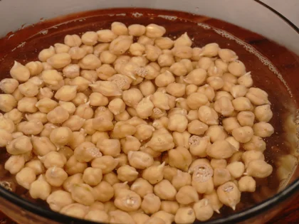 Chickpeas Sprout - Watch for the Tails