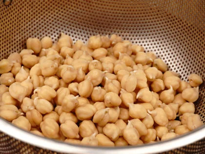 Chickpeas Sprout - Watch for the Tails