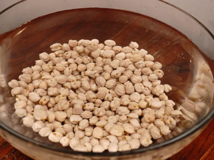 Chickpeas Sprout - image 0
