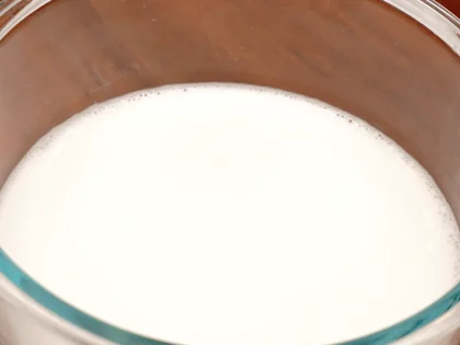   Coconut Milk  - Squeeze and extract
