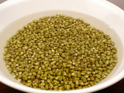  Rinsing, Draining, and Repeat the Process until sprout tails reach the desired length (Day 1 mid afternoon and night)