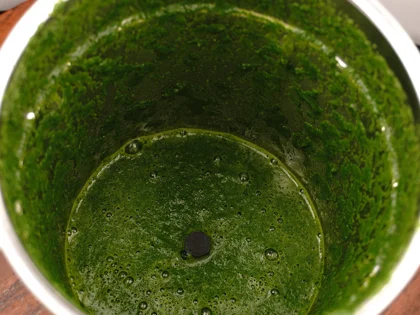 Green Juice With Chia Seeds - To Achieve a Fine Texture of Green Leaves