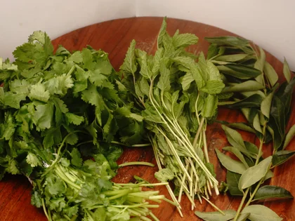 Green Juice With Chia Seeds - Choose good quality leaves and separate leaves