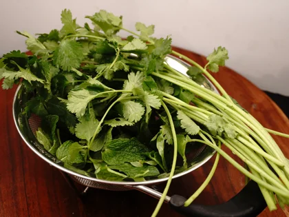 Hariyali Murgh Tikka - Clean the leaves & Drain