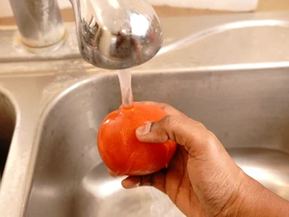 Low Calorie Raw Tomato Smoothie - Selecting and Washing Your Tomatoes